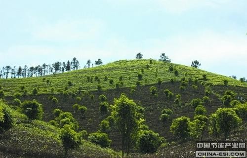 ��̬�޸���ҵ