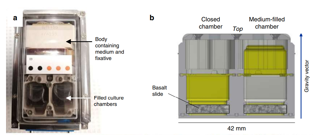 ��������ʯ����BioRock��ʵ��װ��ʾ��