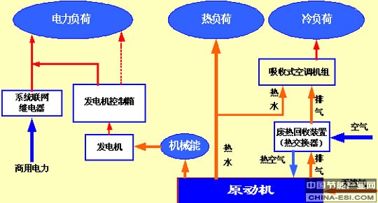 ���ȵ���������������